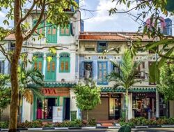 Tanjong Pagar Conservation Area (D2), Retail #619487121